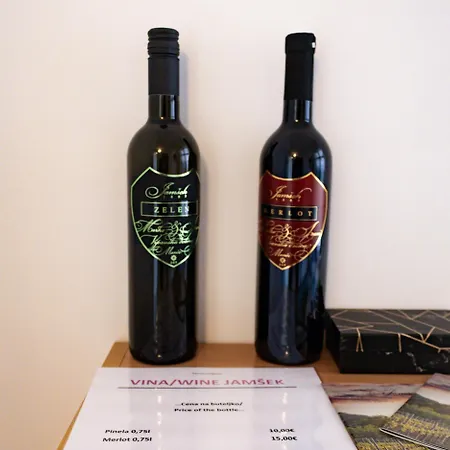 Apartmán Apartma Frigidum